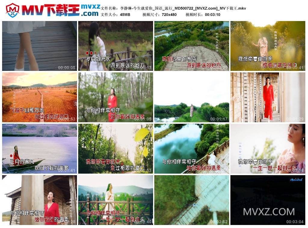 李静琳-今生就爱你_国语_流行_MD500722